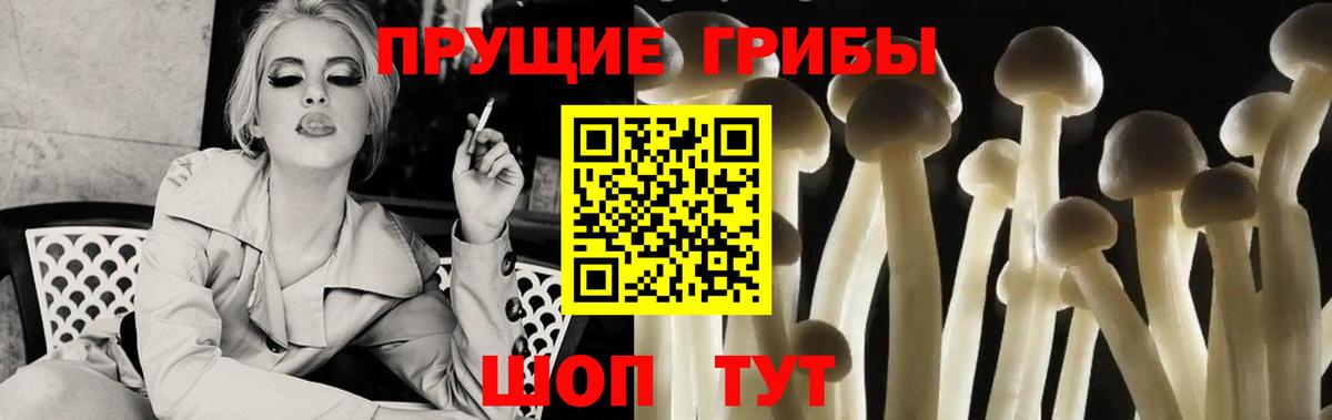 Псилоцибиновые грибы GOLDEN TEACHER Знаменск