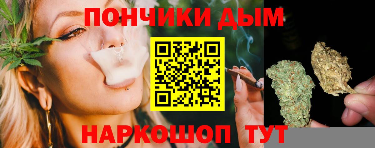Бошки Шишки планчик  Канабис Amnesia  Вход с VPN  Марихуана ГИДРОПОН  Знаменск 
